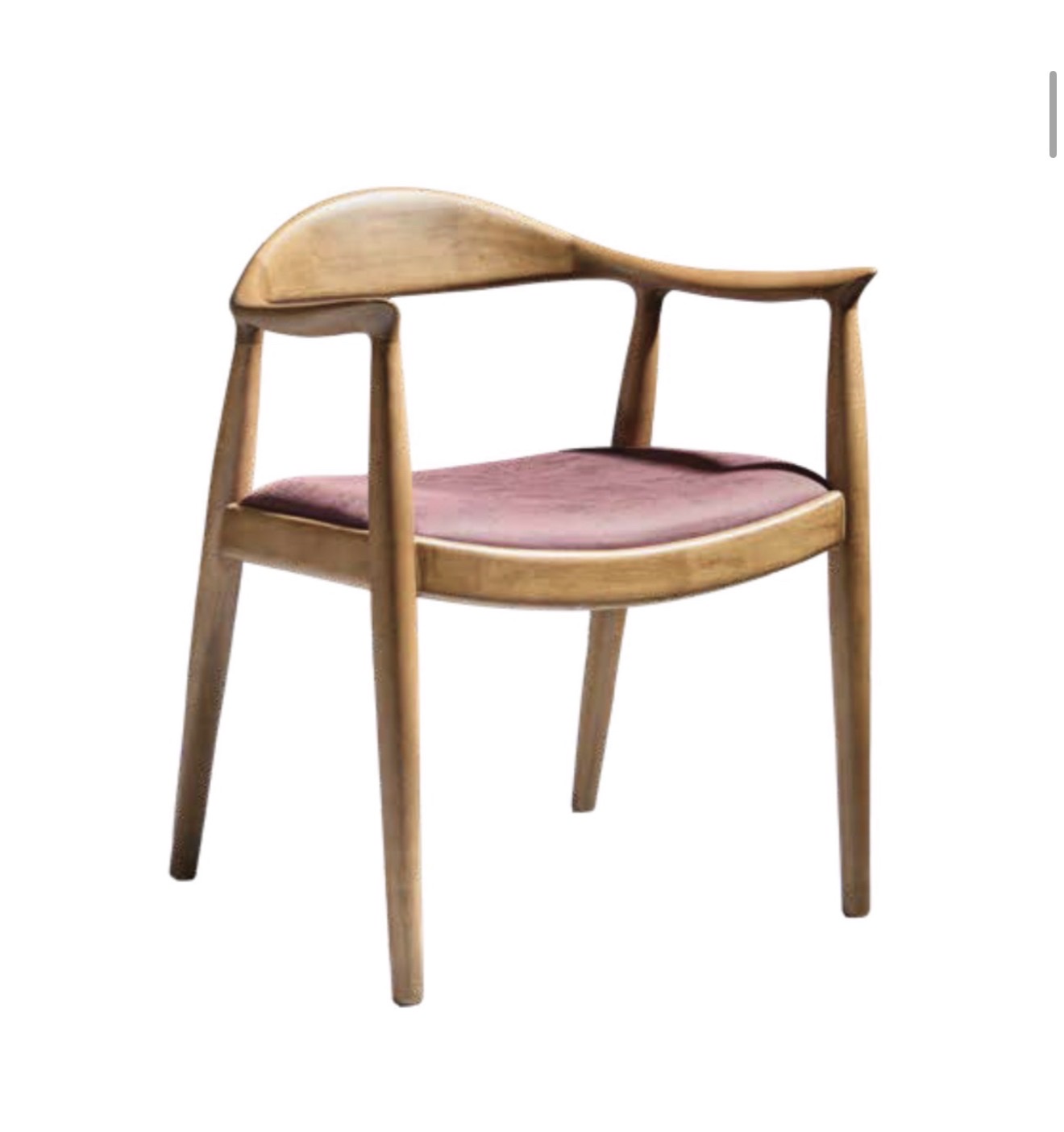 Roma dining chair — plum upholstery, curved solid-wood backrest